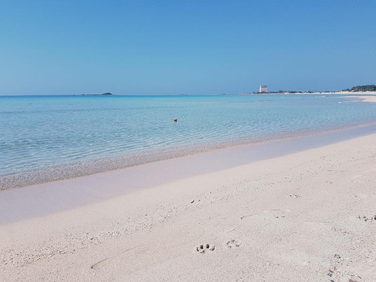 Hotel Posidonia Porto Cesareo Eksteriør bilde